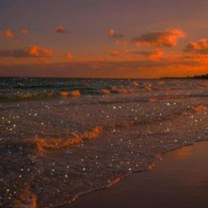 Meet your Posher, Fariha